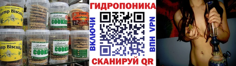 купить   Краснодар  Canna-Cookies конопля 