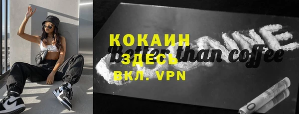 молекула духа Новозыбков