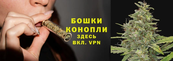 молекула духа Новозыбков