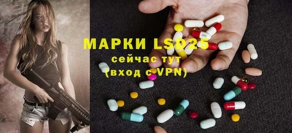 ECSTASY Новодвинск