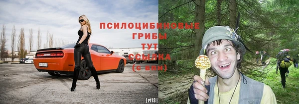 молекула духа Новозыбков