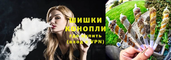 молекула духа Новозыбков