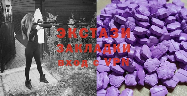 молекула духа Новозыбков