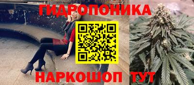 ALPHA PVP Аргун