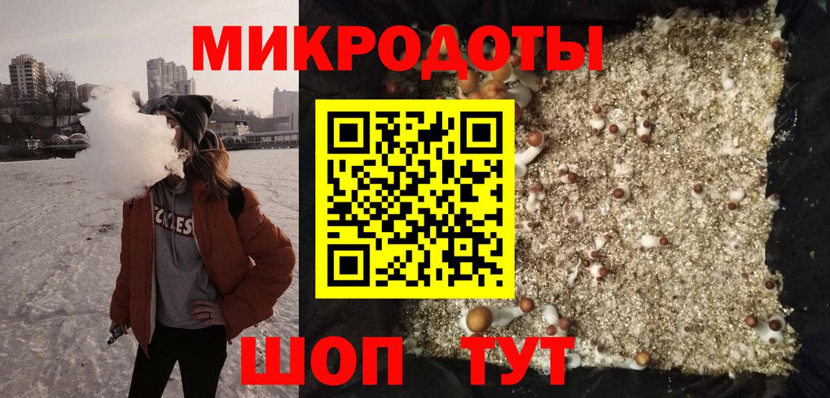 Псилоцибиновые грибы Psilocybe Краснодар