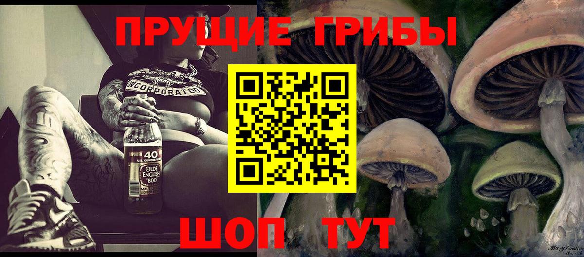 Галлюциногенные грибы прущие грибы Краснодар