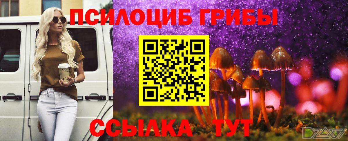 Галлюциногенные грибы прущие грибы Краснодар