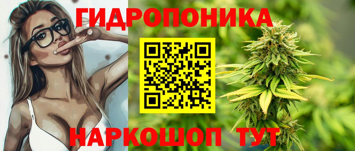 Шишки марихуана White Widow  Марихуана THC 21%  Бошки марихуана AK-47  Краснодар  Вход с VPN 
